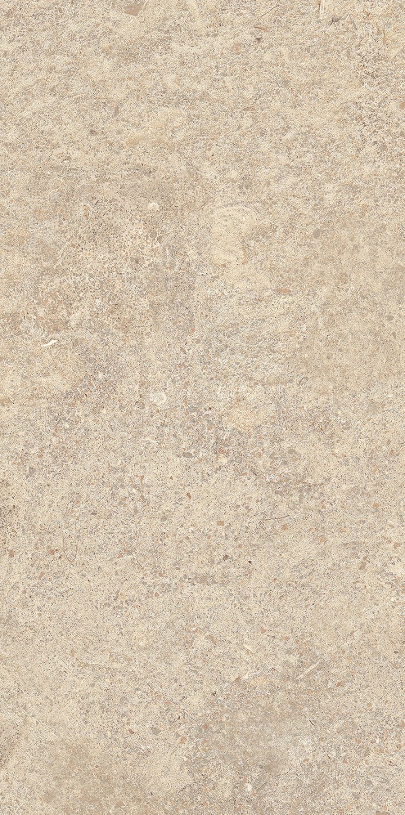 PLATINUM 25X50 CRESPO BROWN  (DIS)